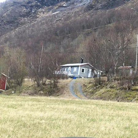 Midnight Sun Road